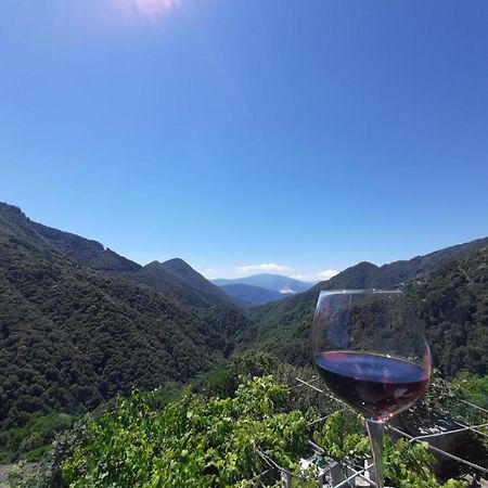 B&B La Locanda Del Cinghiale Aurano Eksteriør bilde