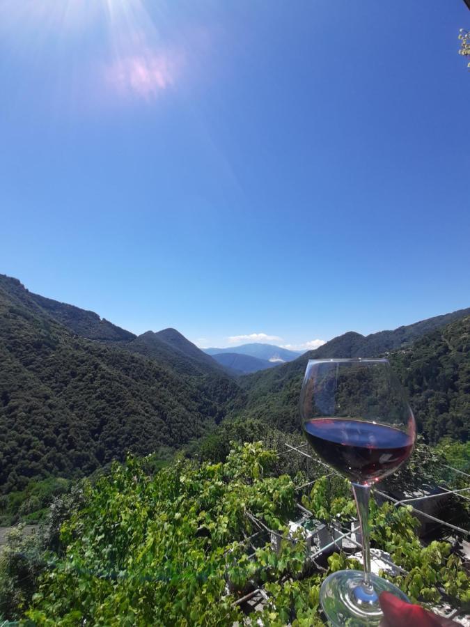 B&B La Locanda Del Cinghiale Aurano Eksteriør bilde