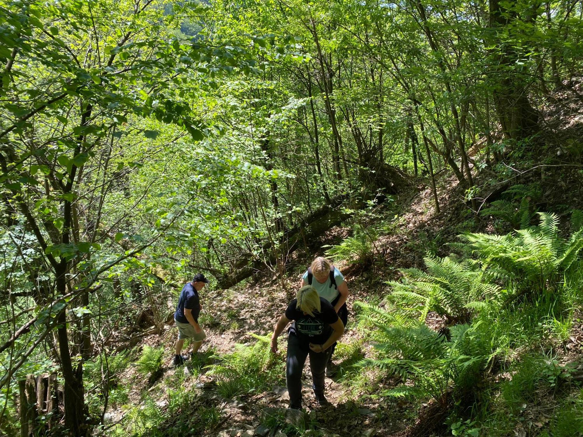 B&B La Locanda Del Cinghiale Aurano Eksteriør bilde